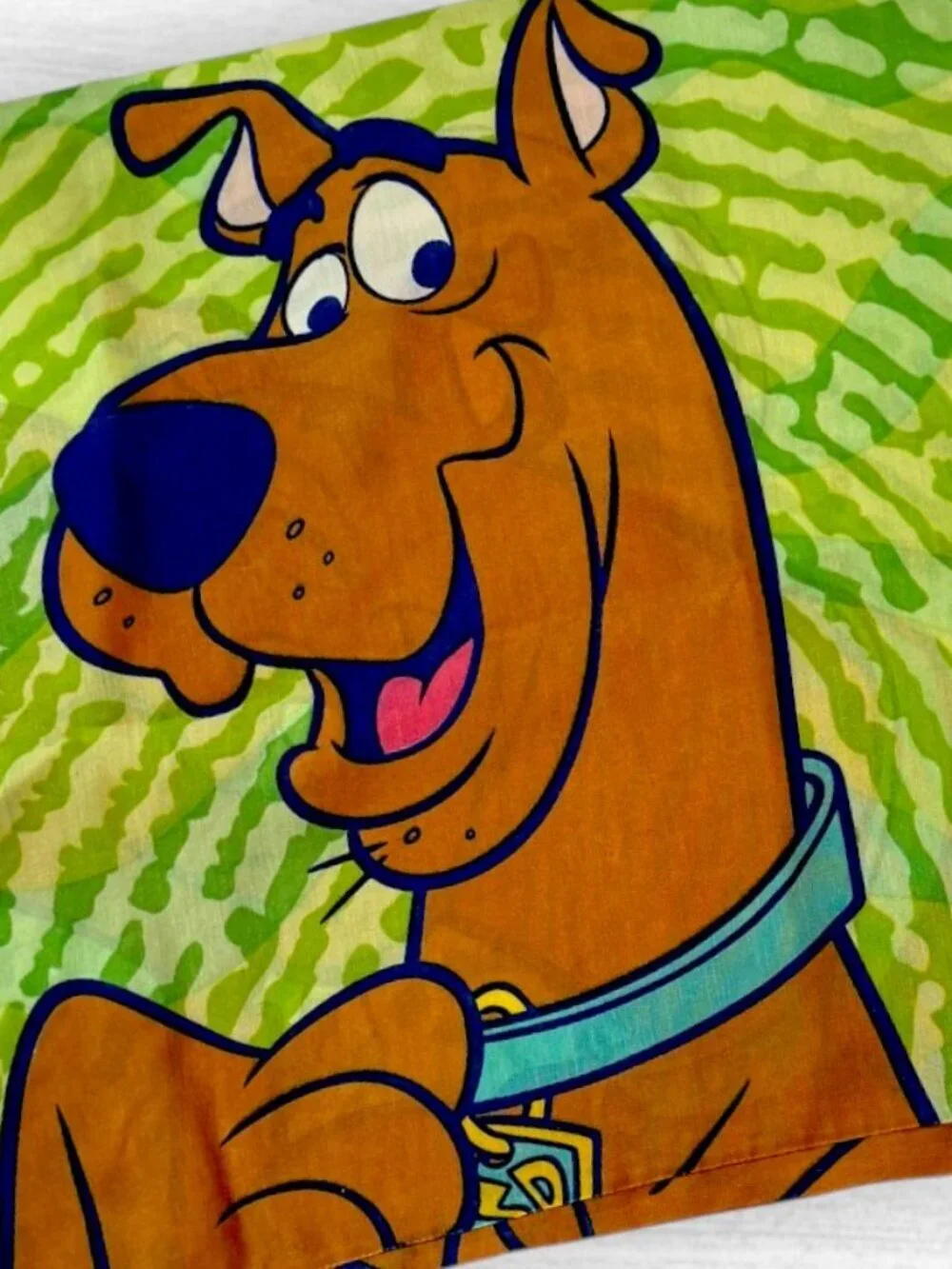 Scooby Doo Y2K Pillowcase Cartoon Network Retro Nickelodeon Style Twin Standard